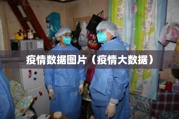 疫情数据图片(疫情大数据) 疫情数据图片(疫情大数据)
