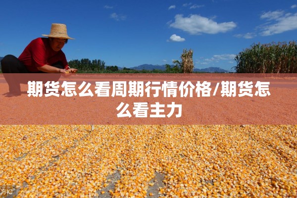 期货怎么看周期行情价格/期货怎么看主力