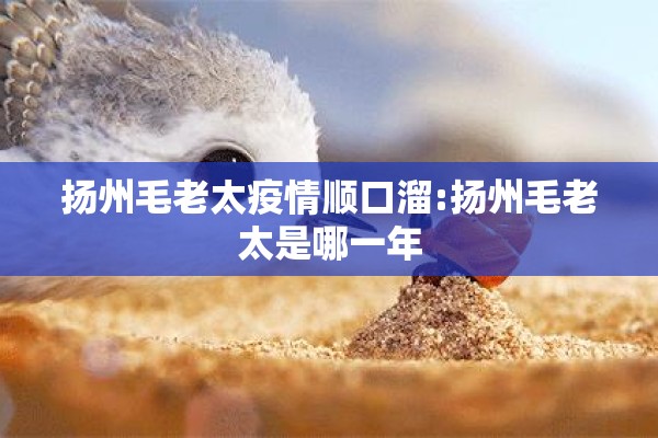 扬州毛老太疫情顺口溜:扬州毛老太是哪一年