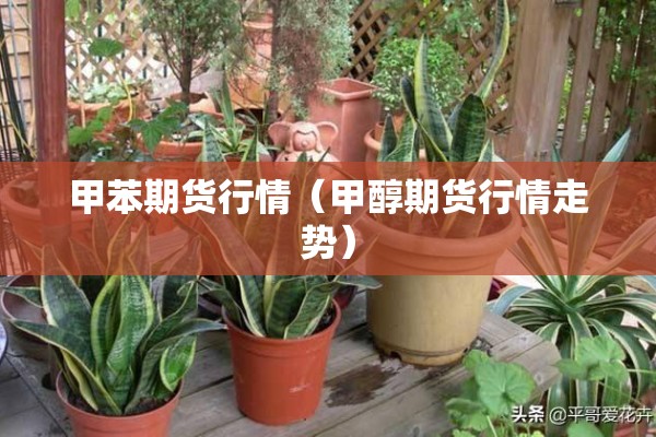 【近期国内疫情状况怎样/近期国内疫情状况怎样查询】