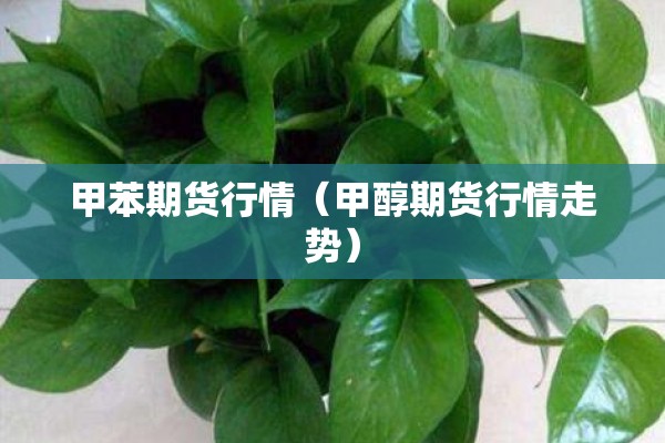 甲苯期货行情（甲醇期货行情走势）