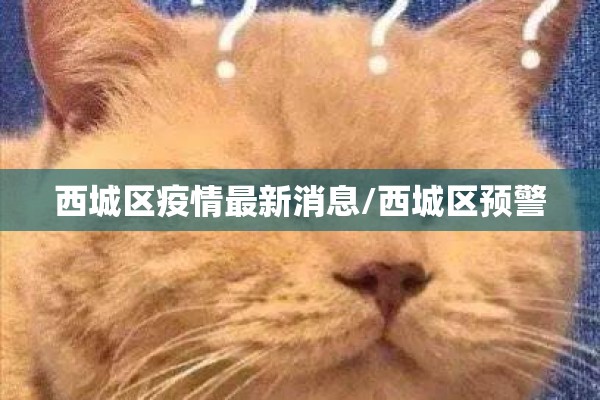 确保疫情防控安全/为疫情防控工作作出了积极的