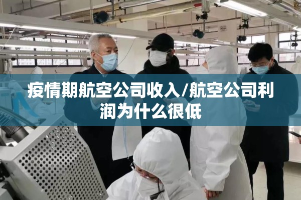 疫情期航空公司收入/航空公司利润为什么很低 疫情期航空公司收入/航空公司利润为什么很低