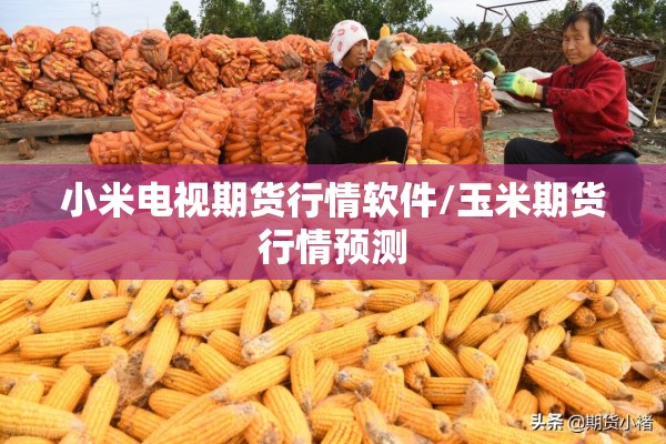 小米电视期货行情软件/玉米期货行情预测 小米电视期货行情软件/玉米期货行情预测