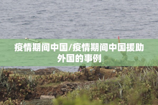 【中国疫情期间死了多少人,疫情死了多少老年人】