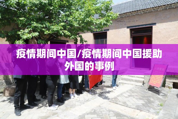 疫情期间中国/疫情期间中国援助外国的事例