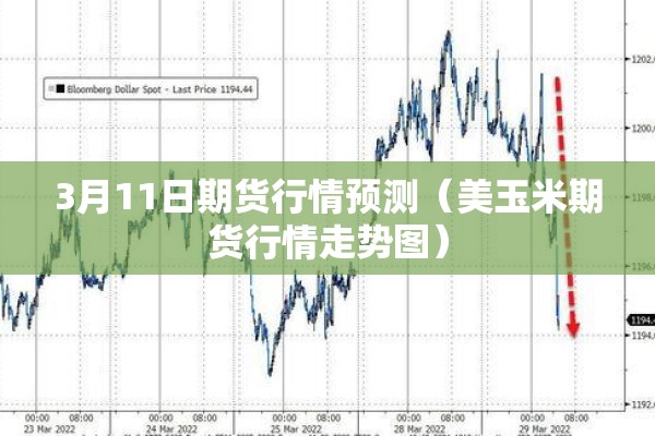 【疫情可以发货的本地/疫情发财的企业】