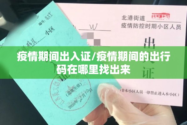疫情期间出入证/疫情期间的出行码在哪里找出来 疫情期间出入证/疫情期间的出行码在哪里找出来