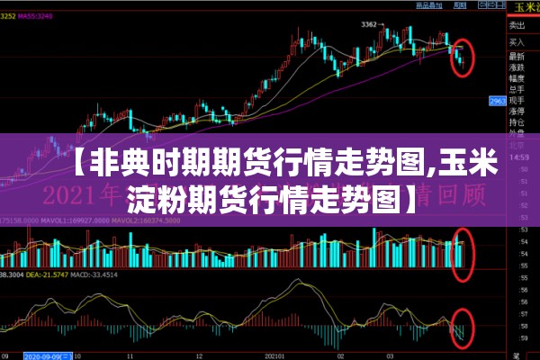 上海市长宁区疫情:上海长宁区近期干部调整