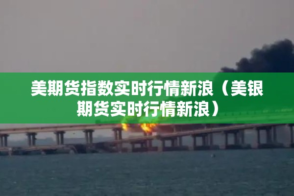 美期货指数实时行情新浪(美银期货实时行情新浪) 美期货指数实时行情新浪(美银期货实时行情新浪)
