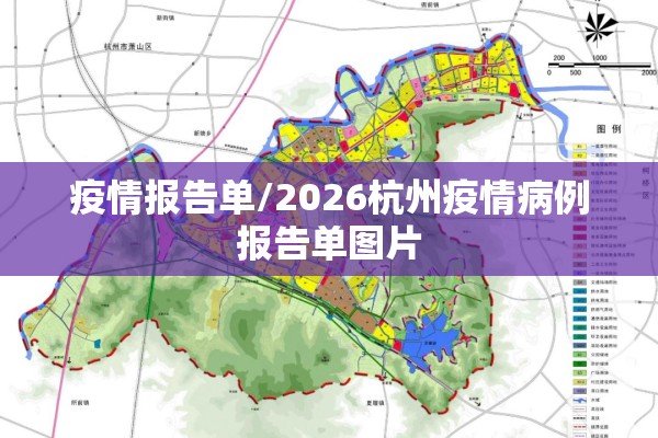 疫情报告单/2026杭州疫情病例报告单图片