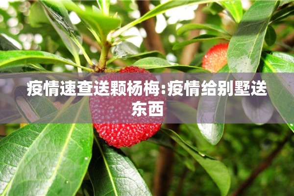 疫情速查送颗杨梅:疫情给别墅送东西 疫情速查送颗杨梅:疫情给别墅送东西