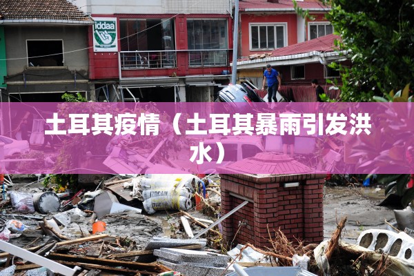 土耳其疫情(土耳其暴雨引发洪水) 土耳其疫情(土耳其暴雨引发洪水)