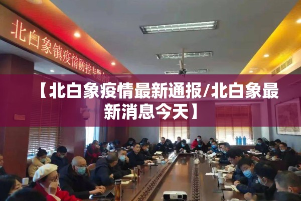 【四季度鸡蛋期货价格行情,2026鸡蛋期货和现货价格对比】