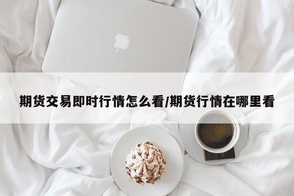 期货交易即时行情怎么看/期货行情在哪里看
