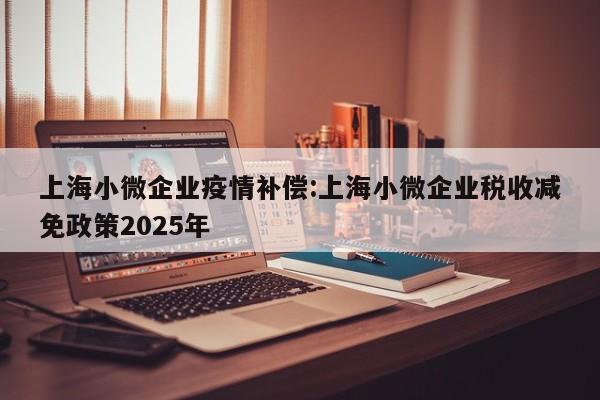 上海小微企业疫情补偿:上海小微企业税收减免政策2025年