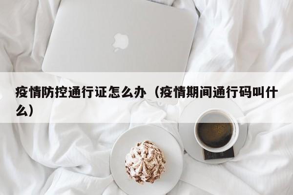 疫情防控通行证怎么办(疫情期间通行码叫什么)