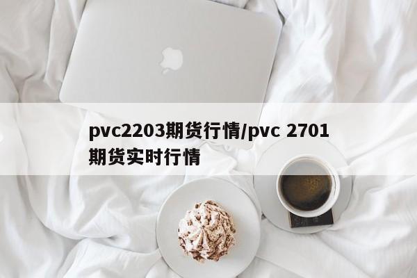 pvc2203期货行情/pvc 2701期货实时行情