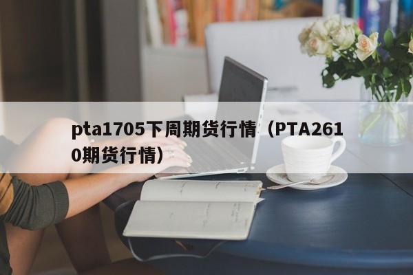pta1705下周期货行情(PTA2610期货行情)